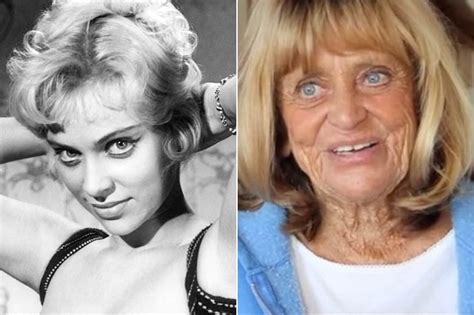 joy harmon then and now|Joy Harmon Photos, News and Videos, Trivia and Quotes